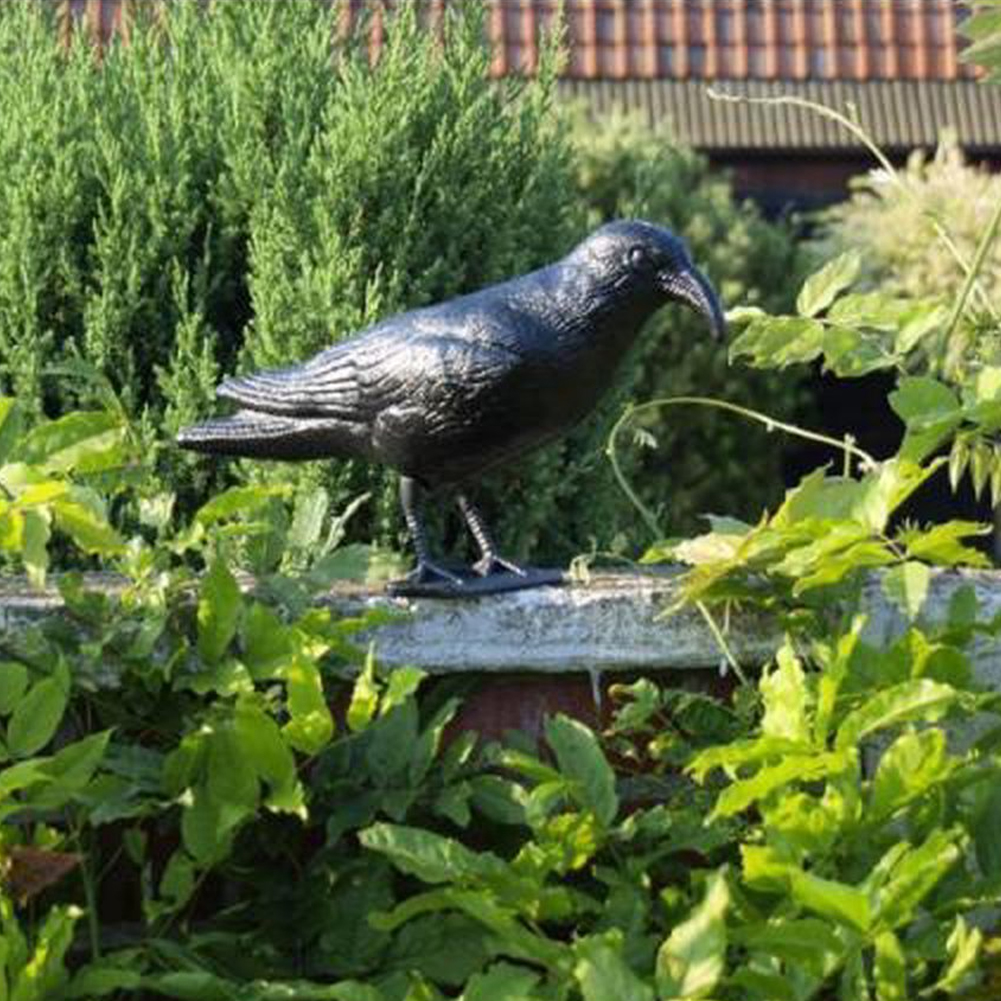 Corvo Dissuasore Statua Spauracchio spaventa passeri piccioni colombi 24,5 cm (5)