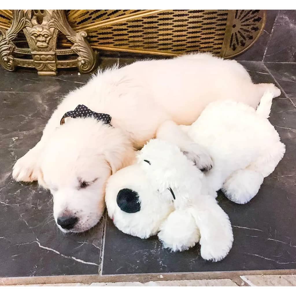 Snuggle Puppy Giocattolo Peluche con Battito per Cani Dorato
