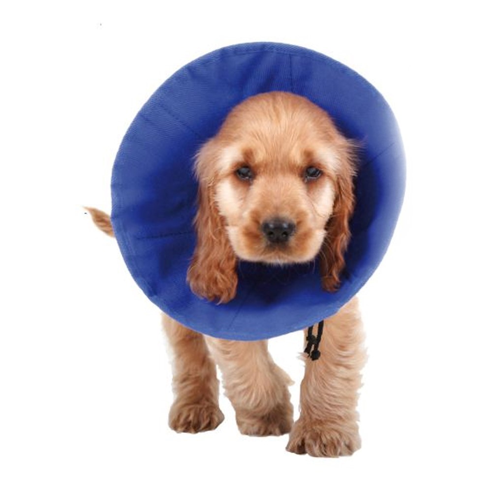 Collare elisabettiano per cani KVP EZ Soft Azzurro (9-25 cm)