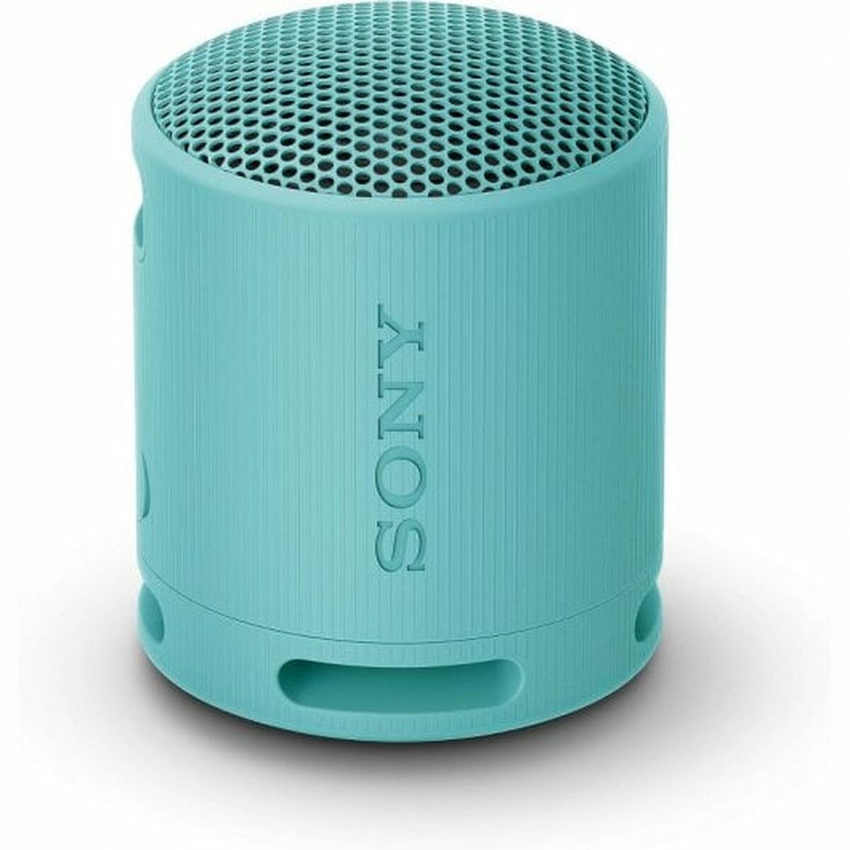Altoparlante Bluetooth Portatile Sony SRS-XB100  Azzurro