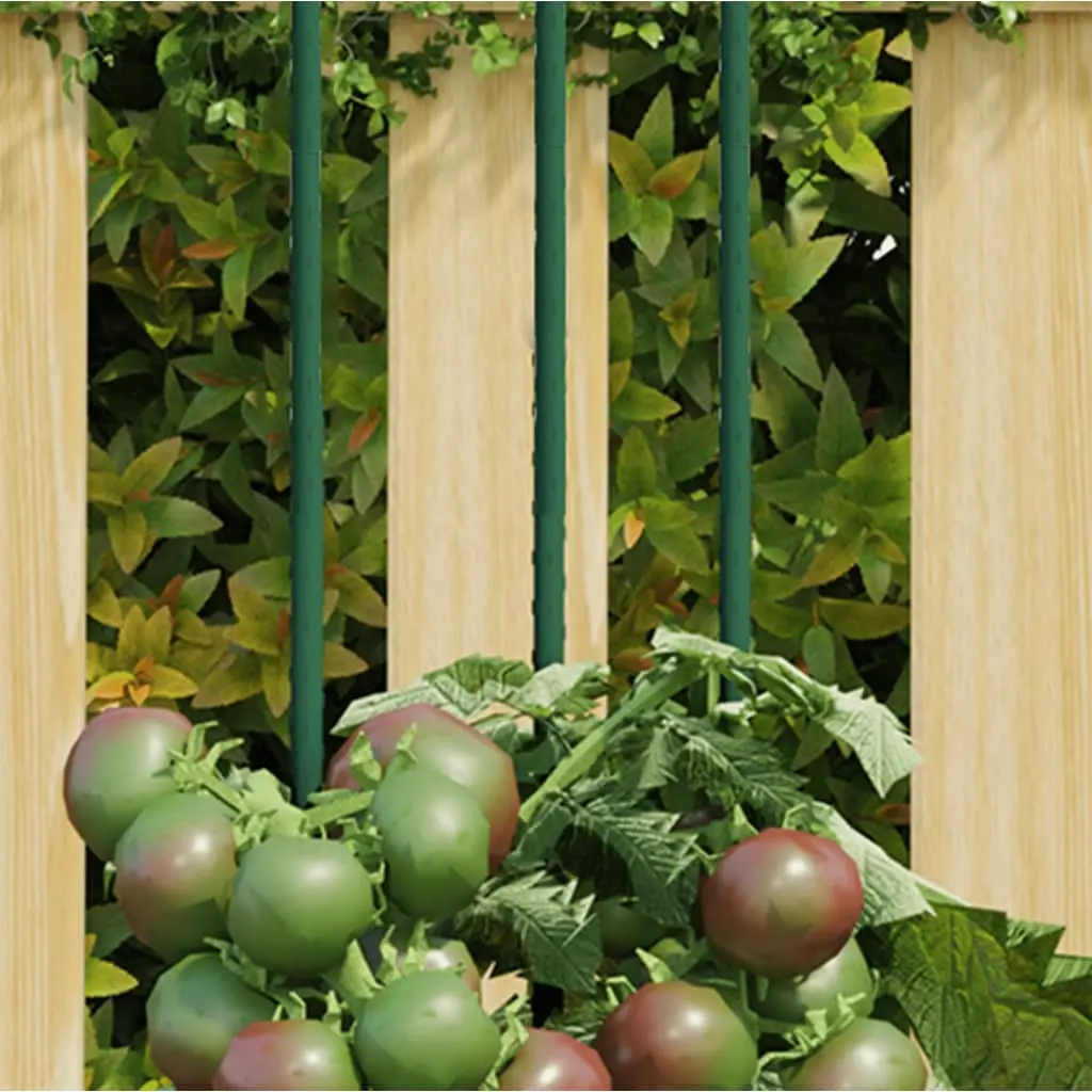Supporti per Piante da Giardino 30 pz Verde 60 cm Acciaio